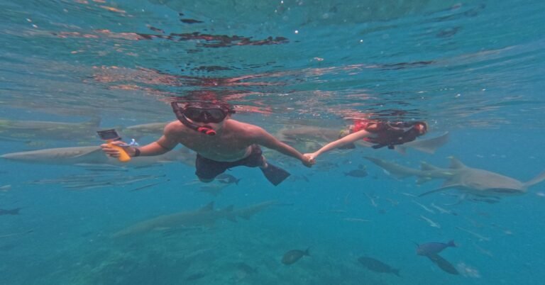 Feature image for five best Maldives excursions