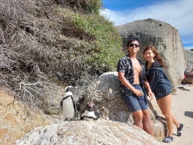 Chilling with South African Penguins at Boulders Beach