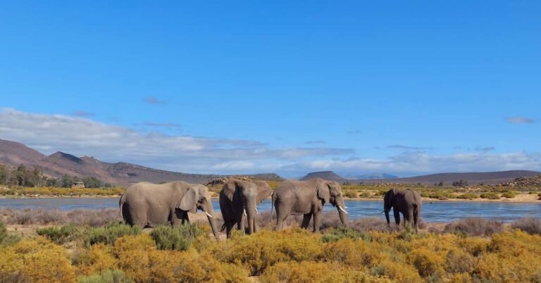aquila-safari-reserve-featured-page