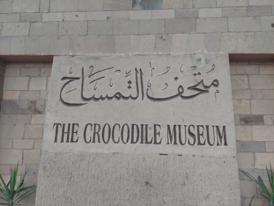 Kom Ombo Temple - Crocodile Museum