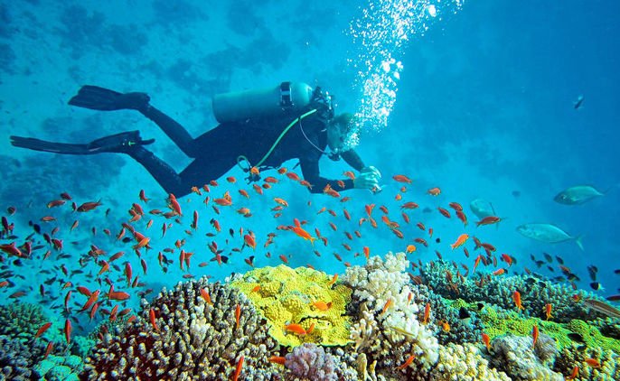 Scuba diving in India