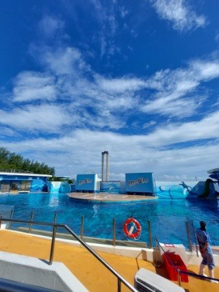 Dolphin show venue HK Ocean Park a photo from the stadium
