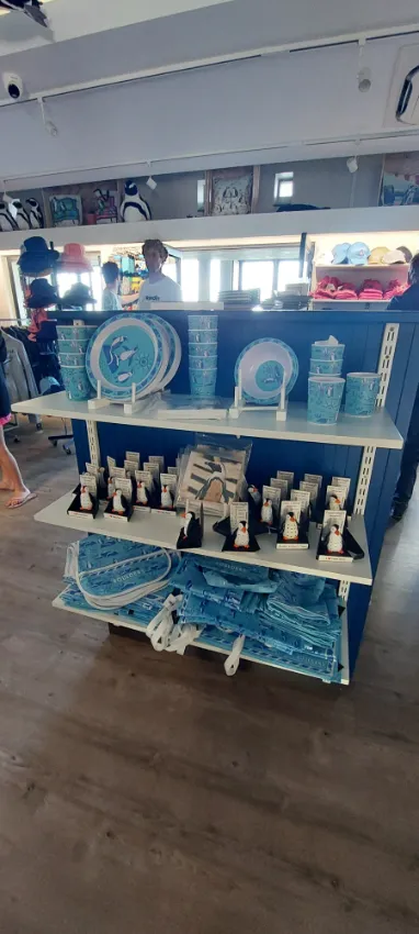 Boulders beach souvenir shop