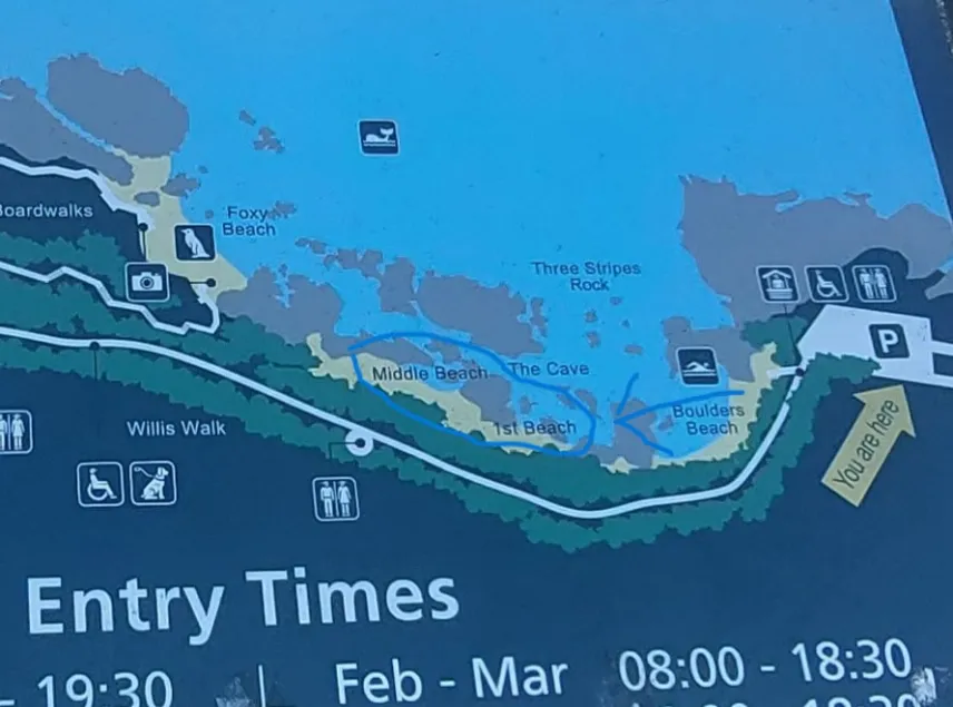 Direction for swimming with penguin location