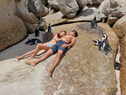 Sleeping near the penguins