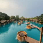 Bubble_of_the_forest_from_the_top