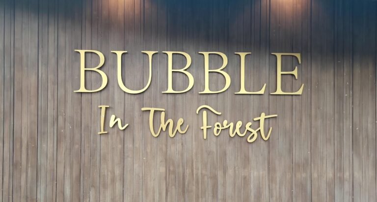 bubble in the forest feature page