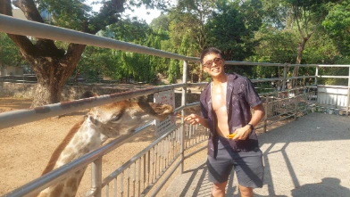 Me feeding Giraffe in Saigon Zoo