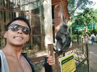 Monkey at Saigon Zoo out of the cage