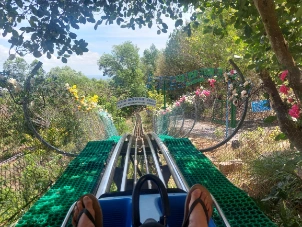 Number 2 Alpine Coaster