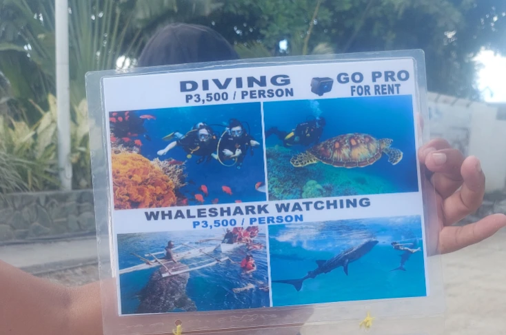 Bohol to Oslob Whale Watching Tour by local vendor at ~ 63 USD