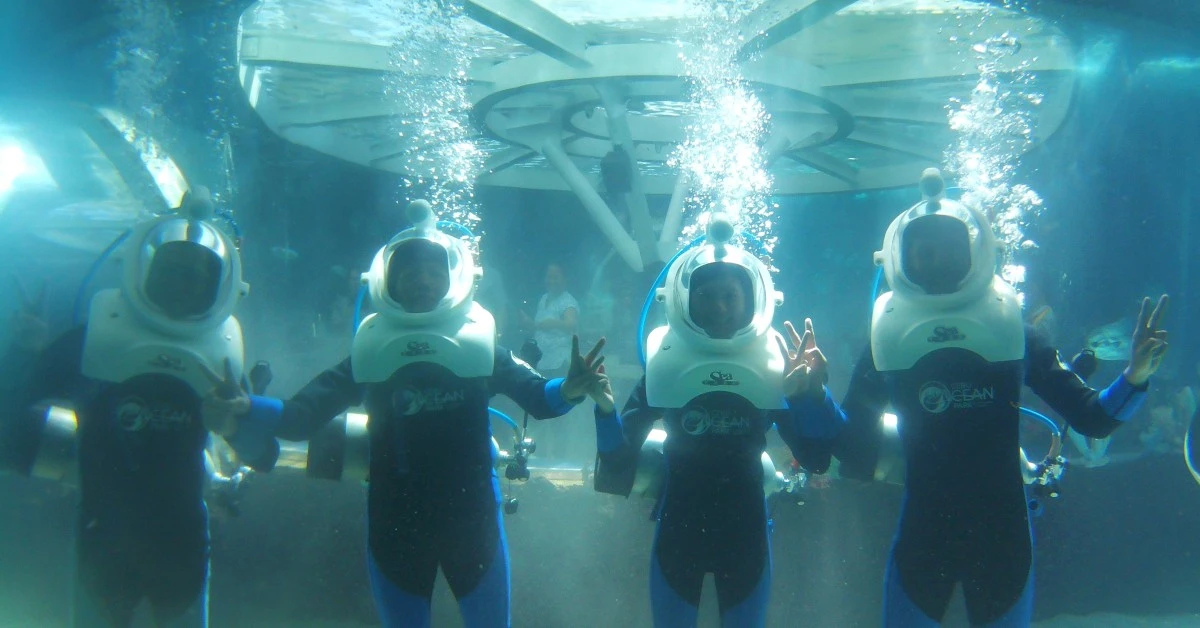 Cebu-Ocean-Park-Seatrek-Feature-Page