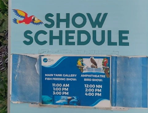 Cebu Ocean Park Show Schedule