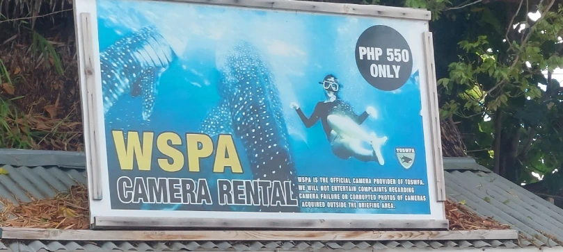 GoPro rental Oslob whale shark watching at 550 PHP