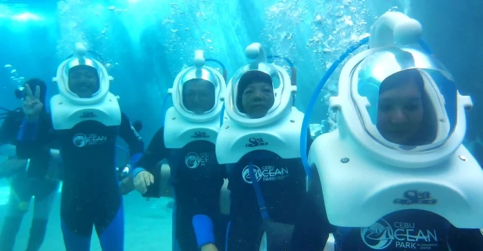 Marching underthe sea (acquarium). Regulus family together