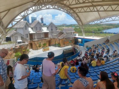 Number 10 Amphitheatre the bird show area