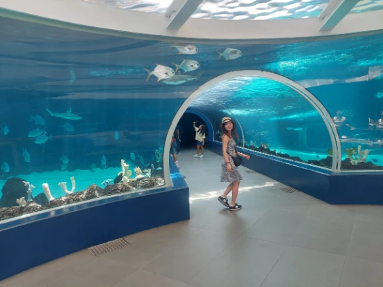 Number 11 Oceanarium