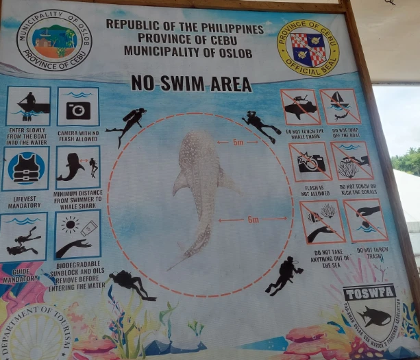 Oslob whale shark watching briefing