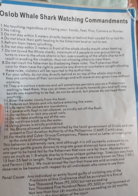 Oslob whale shark watching rules