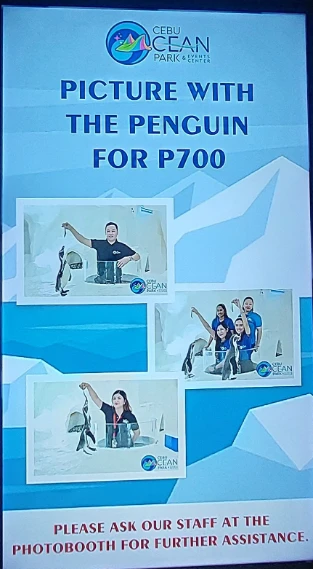 Penguin feeding at 700 PHP