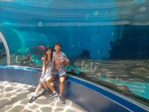 Photo at the Oceanarium Regulus Couple