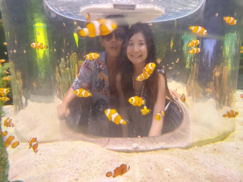 Signature nemo photo site at seven seas