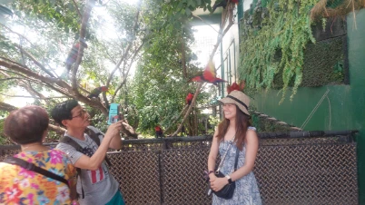 Taking photo of the Lories