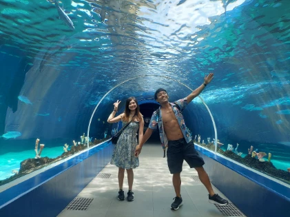The Acquarium that you will be seatrekking in
