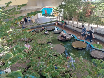 The fish spa for 100 PHP