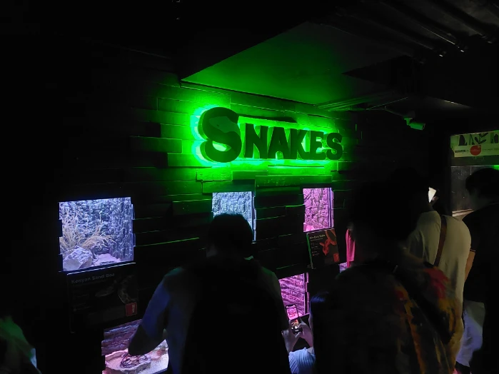 The snake session