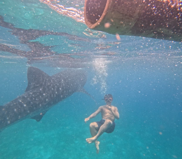 You can take off your life vest for whale shark watching