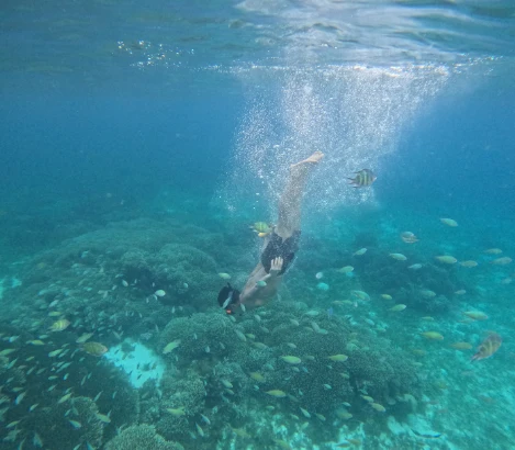 2 more snorkeling with less people