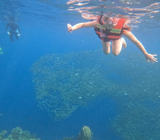 A girl with sardine storm behind