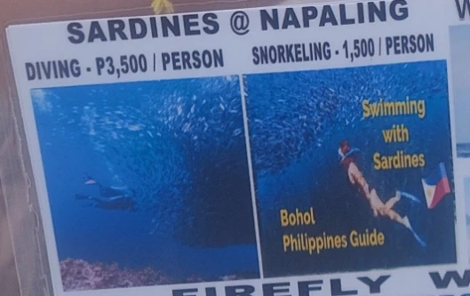 Local vendor price for diving or snorkeling at Napaling