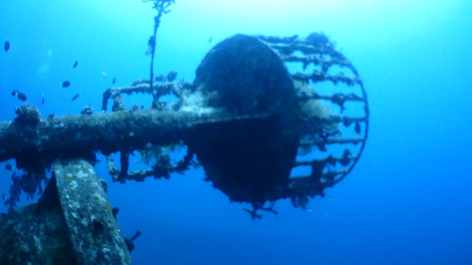 Diving to the ship wreck