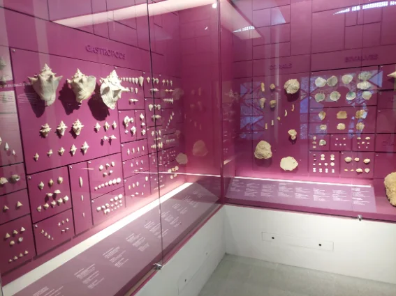 Exhibition inside Museum of the Philippines