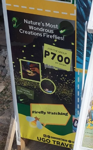 Firefly watching tour by local vendor at ~ 700 PHP