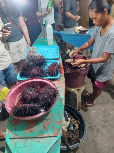 Freshly opened sea urchin