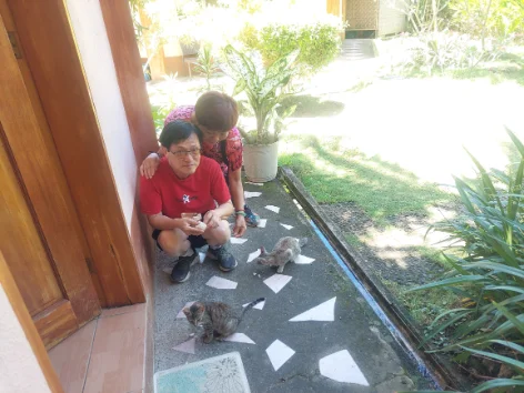 Playing with the astray cats near at hotel renate