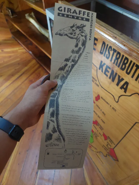 Giraffe cetner leaflist
