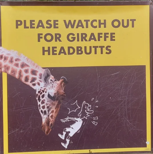 Giraffe headbutts warning sign