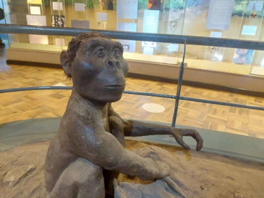 Local tribe exhibition