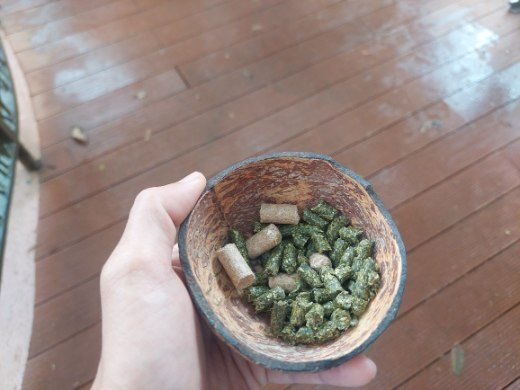 More than 20 pellets in each bowl