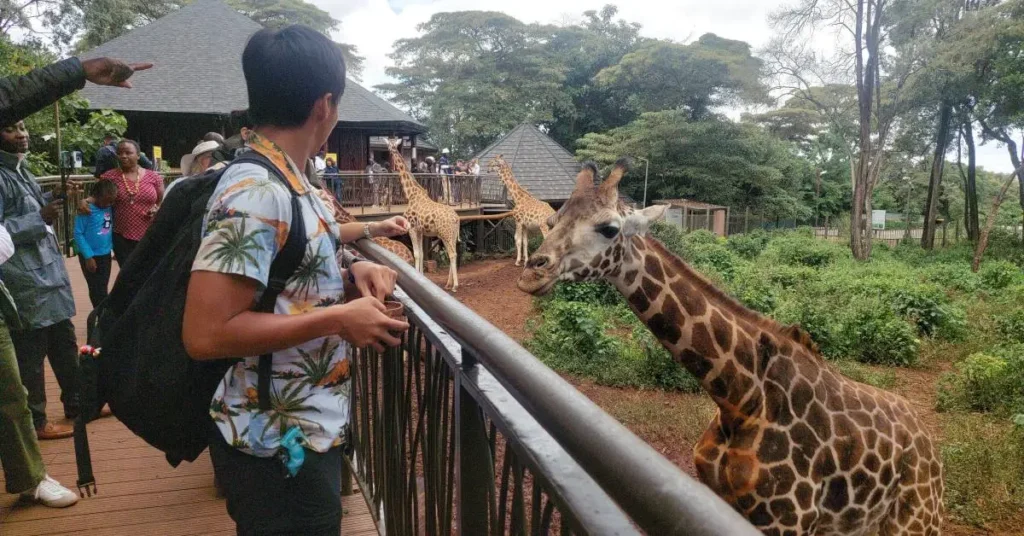 Nairobi-Giraffe-Center-Review