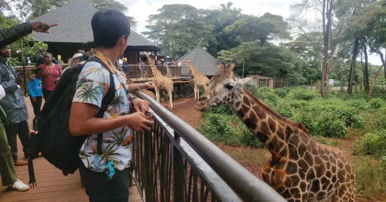 Nairobi-Giraffe-Center-Review