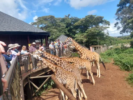 The feeding terrace could be crowded