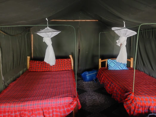 Campsite withe beds