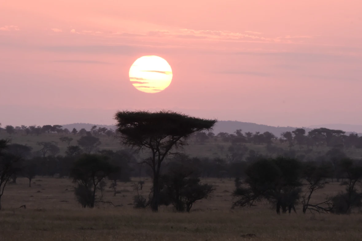 Sunrice of Serengeti