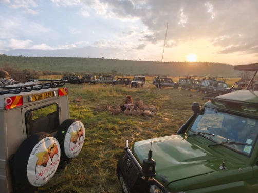 Jeep and safari