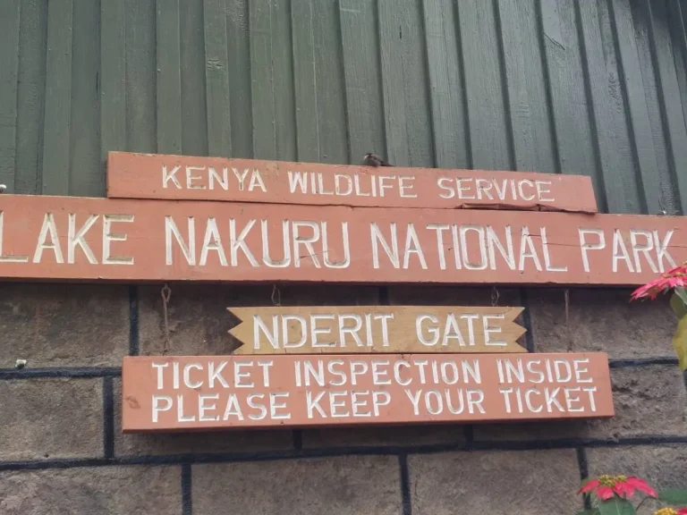 Lake Nakuru National Park Review: Is It Worth Going